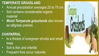 TEMPERATE GRASSLAND
• Annual precipitation averages 25 to 75 cm
• Soil contains considerable organic
material
• Moist Temperate grasslands also known
as tallgrass prairies
CHAPARRAL
• Is a thicket of evergreen shrubs and small
trees
• Soil is thin and infertile
• Frequent fires occur naturally
 