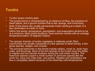 Tundra

•   Tundra means marshy plain.
•   The tundra biome is characterized by an absence of trees, the presence of
    dwarf plants, and a ground surface that is wet, spongy, and hummocky.
•   Soils of this biome are usually permanently frozen starting at a depth of a
    few centimeters to meter or more.
•   Within this biome, temperature, precipitation, and evaporation all tend to be
    at a minimum. Most tundra locations, have summer months with an average
    temperature below 10 degrees Celsius.

•   The species diversity of tundra vegetation is relatively small. Plant
    communities are usually composed of a few species of dwarf shrubs, a few
    grass species, sedges, and mosses.
•   The principal herbivores in this biome include caribou, musk ox, arctic hare,
    voles, and lemmings. Most of the bird species of the tundra have the ability
    to migrate and live warmer locations during the cold winter months. The
    herbivore species support a small number of carnivore species like the
    arctic fox, snow owl, polar bear, and wolves. Reptiles and amphibians are
    few or completely absent because of the extremely cold temperatures.
 