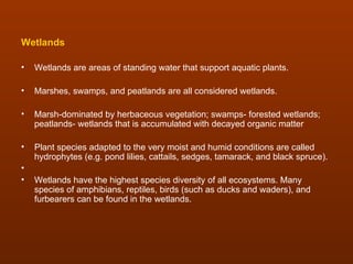 Wetlands

•   Wetlands are areas of standing water that support aquatic plants.

•   Marshes, swamps, and peatlands are all considered wetlands.

•   Marsh-dominated by herbaceous vegetation; swamps- forested wetlands;
    peatlands- wetlands that is accumulated with decayed organic matter

•   Plant species adapted to the very moist and humid conditions are called
    hydrophytes (e.g. pond lilies, cattails, sedges, tamarack, and black spruce).
•
•   Wetlands have the highest species diversity of all ecosystems. Many
    species of amphibians, reptiles, birds (such as ducks and waders), and
    furbearers can be found in the wetlands.
 
