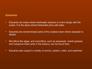 Estuaries

•   Estuaries are areas where freshwater streams or rivers merge with the
    ocean. It is the place where freshwater joins salt water.

•   Estuaries are semienclosed parts of the coastal ocean where seawater is
    diluted

•   Microflora like algae, and macroflora, such as seaweeds, marsh grasses,
    and mangrove trees (only in the tropics), can be found here.

•   Estuaries also support a variety of worms, oysters, crabs, and waterfowl.
 