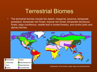 Terrestrial Biomes
•   The terrestrial biomes include the desert, chaparral, savanna, temperate
    grassland, temperate rain forest, tropical rain forest, temperate deciduous
    forest, taiga (coniferous, needle leaf or boreal forests), and tundra (artic and
    alpine) biomes.




                                          Distribution of the Earth's eight major terrestrial biomes
 