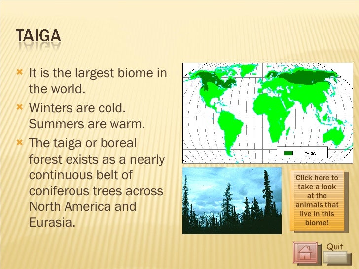 An Interactive look at the Earths Biomes