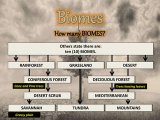 How many BIOMES?
Others state there are:
ten (10) BIOMES.
RAINFOREST DESERT
CONIFEROUS FOREST
DESERT SCRUB
DECIDUOUS FOREST
GRASSLAND
SAVANNAH TUNDRA MOUNTAINS
MEDITERRANEAN
Trees loosing leavesCone and Pine trees
Grassy plain
 