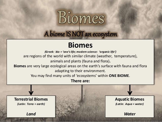 What are the eight biomes found on Earth?