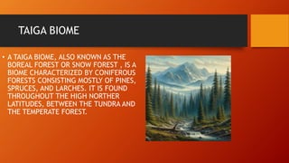 TAIGA BIOME
• A TAIGA BIOME, ALSO KNOWN AS THE
BOREAL FOREST OR SNOW FOREST , IS A
BIOME CHARACTERIZED BY CONIFEROUS
FORESTS CONSISTING MOSTLY OF PINES,
SPRUCES, AND LARCHES. IT IS FOUND
THROUGHOUT THE HIGH NORTHER
LATITUDES, BETWEEN THE TUNDRA AND
THE TEMPERATE FOREST.
 