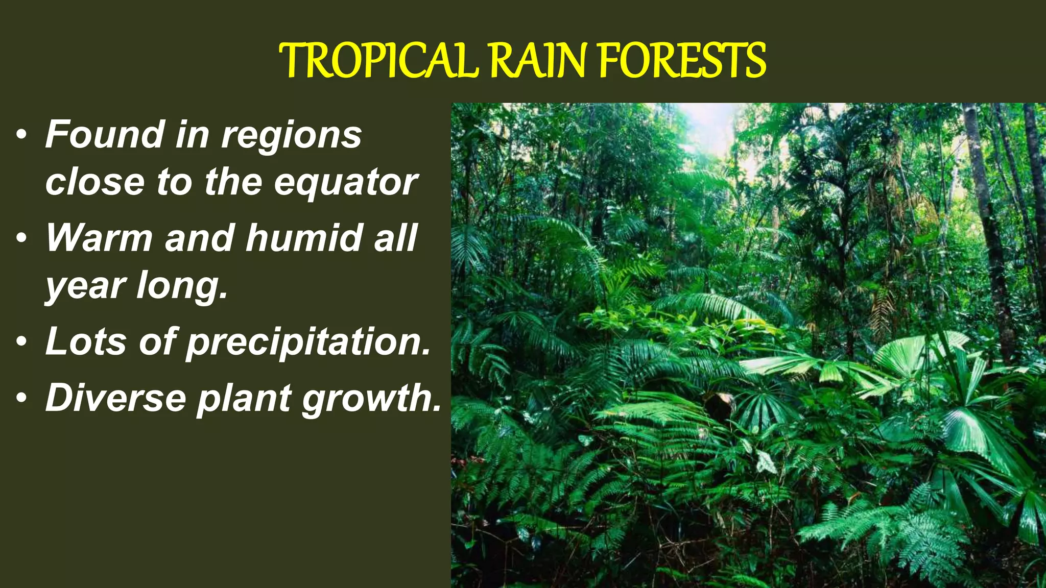 TROPICAL RAIN FORESTS
• Found in regions
close to the equator
• Warm and humid all
year long.
• Lots of precipitation.
• Diverse plant growth.
 