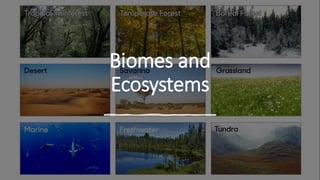 Biomes and
Ecosystems
 