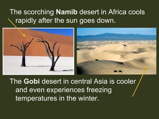 The scorching Namib desert in Africa cools
rapidly after the sun goes down.
The Gobi desert in central Asia is cooler
and ...