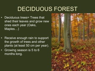DECIDUOUS FOREST
• Deciduous trees= Trees that
shed their leaves and grow new
ones each year (Oaks,
Maples…)
• Receive eno...