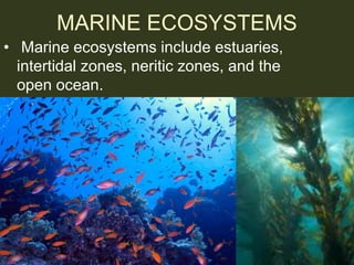 BIOMES AND ECOSYSTEMS.ppt