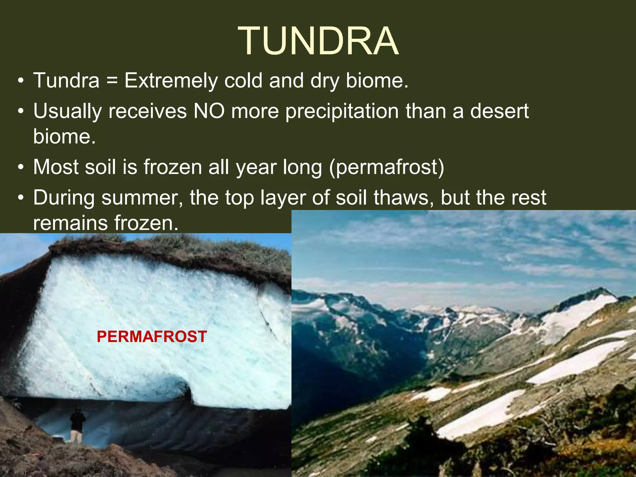 BIOMES AND ECOSYSTEMS.ppt
