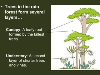 BIOMES AND ECOSYSTEMS.ppt