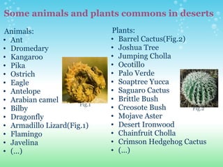 Some animals and plants commons in deserts    Animals: Ant Dromedary Kangaroo Pika Ostrich Eagle Antelope Arabian camel Bilby Dragonfly Armadillo Lizard(Fig.1) Flamingo  Javelina (...)       Plants: Barrel Cactus(Fig.2) Joshua Tree Jumping Cholla Ocotillo Palo Verde Soaptree Yucca Saguaro Cactus Brittle Bush Creosote Bush Mojave Aster Desert Ironwood Chainfruit Cholla Crimson Hedgehog Cactus (...)                                                                       Fig.1                                                                                                                                                                                                                                         Fig.2 