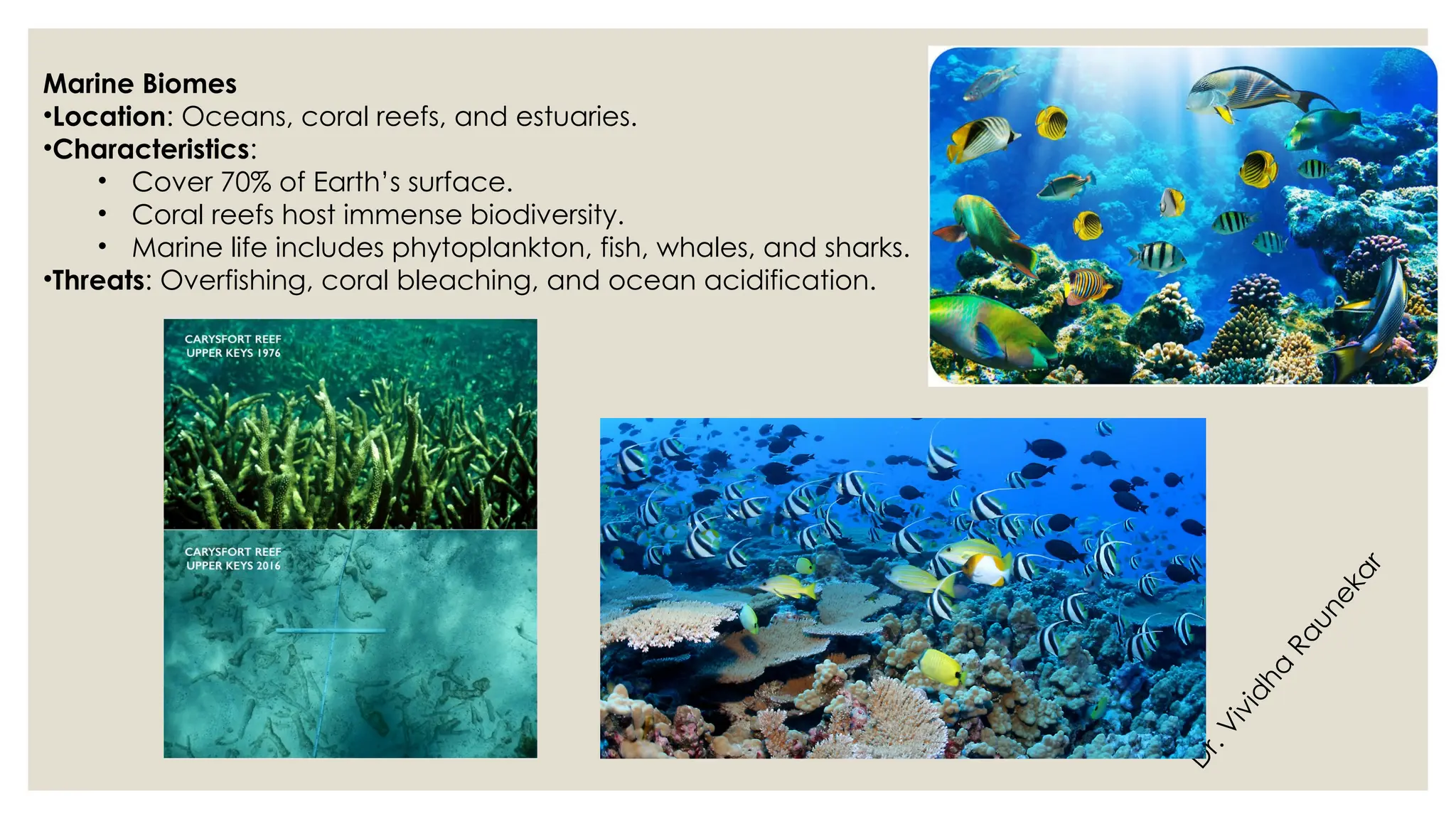 D
r
.
V
i
v
i
d
h
a
R
a
u
n
e
k
a
r
Marine Biomes
•Location: Oceans, coral reefs, and estuaries.
•Characteristics:
• Cover 70% of Earth’s surface.
• Coral reefs host immense biodiversity.
• Marine life includes phytoplankton, fish, whales, and sharks.
•Threats: Overfishing, coral bleaching, and ocean acidification.
 