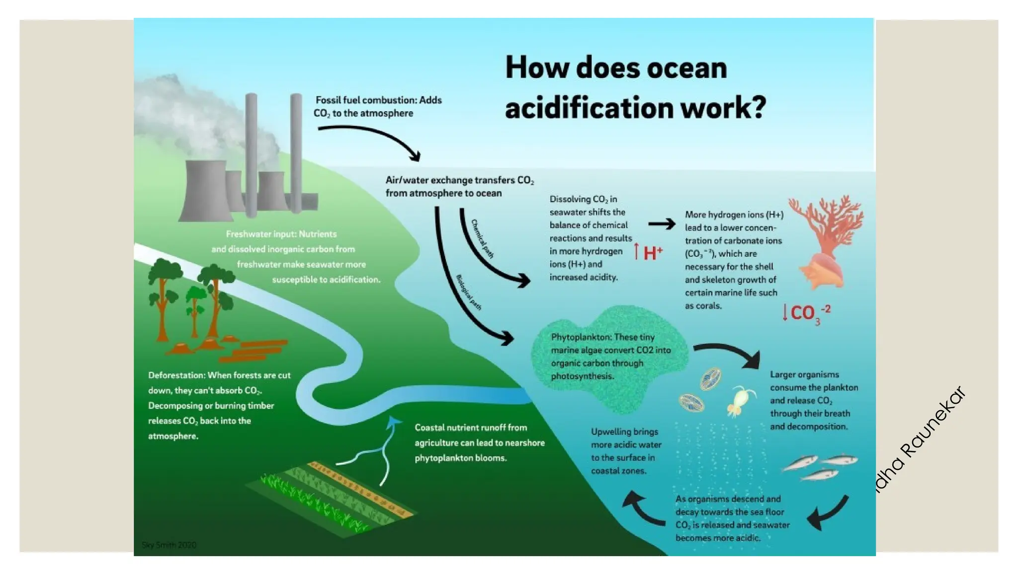 D
r
.
V
i
v
i
d
h
a
R
a
u
n
e
k
a
r
 