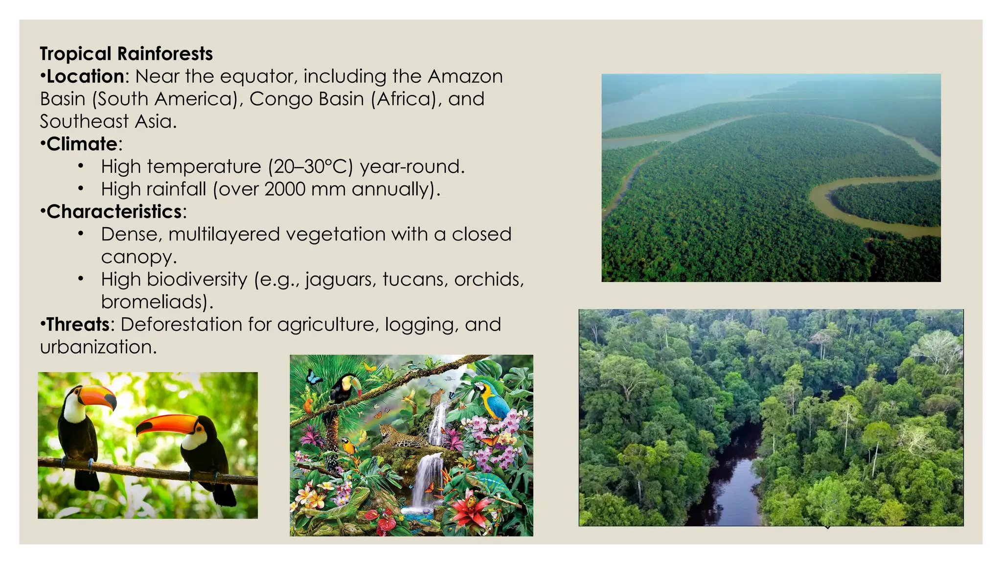 D
r
.
V
i
v
i
d
h
a
R
a
u
n
e
k
a
r
Tropical Rainforests
•Location: Near the equator, including the Amazon
Basin (South America), Congo Basin (Africa), and
Southeast Asia.
•Climate:
• High temperature (20–30°C) year-round.
• High rainfall (over 2000 mm annually).
•Characteristics:
• Dense, multilayered vegetation with a closed
canopy.
• High biodiversity (e.g., jaguars, tucans, orchids,
bromeliads).
•Threats: Deforestation for agriculture, logging, and
urbanization.
 