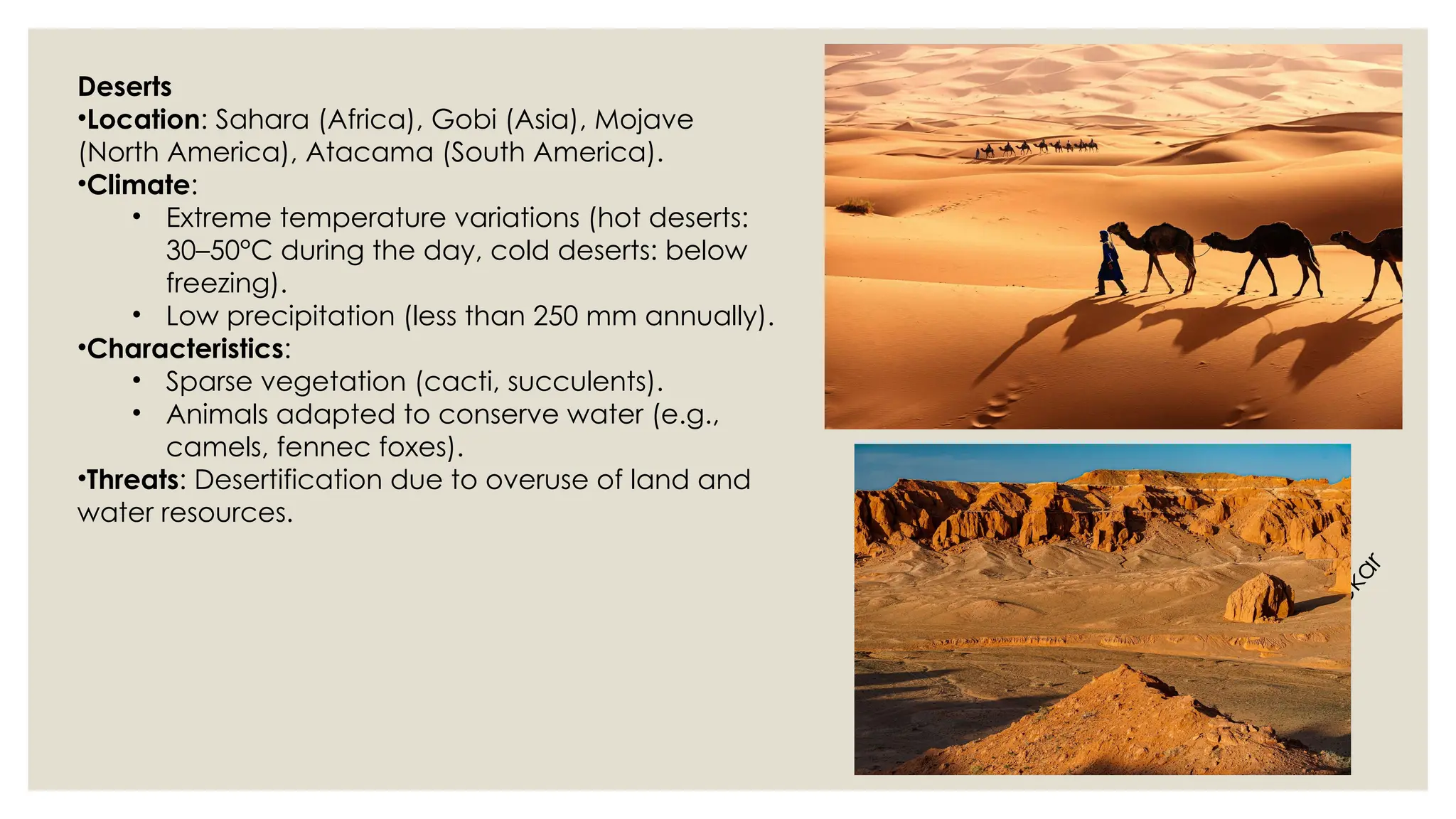 D
r
.
V
i
v
i
d
h
a
R
a
u
n
e
k
a
r
Deserts
•Location: Sahara (Africa), Gobi (Asia), Mojave
(North America), Atacama (South America).
•Climate:
• Extreme temperature variations (hot deserts:
30–50°C during the day, cold deserts: below
freezing).
• Low precipitation (less than 250 mm annually).
•Characteristics:
• Sparse vegetation (cacti, succulents).
• Animals adapted to conserve water (e.g.,
camels, fennec foxes).
•Threats: Desertification due to overuse of land and
water resources.
 