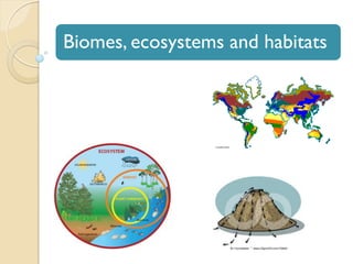 Biomes, ecosystems and habitats
 