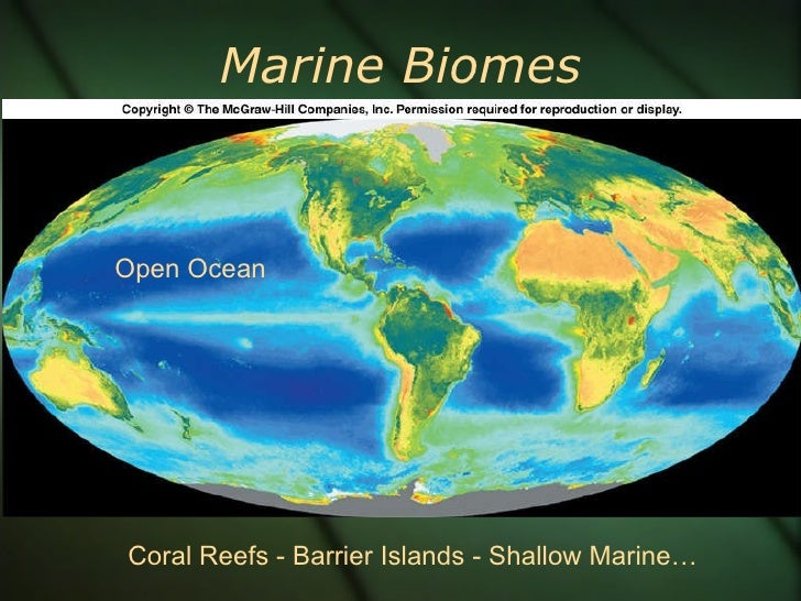 biomes for box
