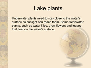 Lake plants
• Underwater plants need to stay close to the water's
  surface so sunlight can reach them. Some freshwater
  plants, such as water lilies, grow flowers and leaves
  that float on the water's surface.
 
