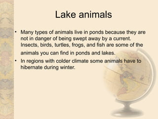 Lake animals
• Many types of animals live in ponds because they are
  not in danger of being swept away by a current.
  Insects, birds, turtles, frogs, and fish are some of the
  animals you can find in ponds and lakes.
• In regions with colder climate some animals have to
  hibernate during winter.
 