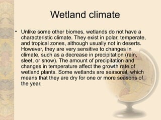 Wetland climate
• Unlike some other biomes, wetlands do not have a
  characteristic climate. They exist in polar, temperate,
  and tropical zones, although usually not in deserts.
  However, they are very sensitive to changes in
  climate, such as a decrease in precipitation (rain,
  sleet, or snow). The amount of precipitation and
  changes in temperature affect the growth rate of
  wetland plants. Some wetlands are seasonal, which
  means that they are dry for one or more seasons of
  the year.
 