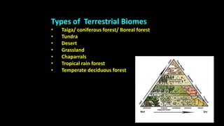 Biomes m.sc.iii [autosaved] [autosaved] | PPTX