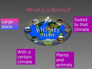 Large place With a certain climate Plants and animals Suited to that climate 