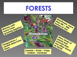 FORESTS Biomes with many trees growing together Temperature / rainfall determine them Rainforest: more than 80 – 200 inches of rain More kinds of plants and animals than any other biome on Earth Insects – birds – frogs – snakes - monkeys 