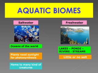 AQUATIC BIOMES Freshwater Saltwater Oceans of the world LAKES – PONDS – RIVERS - STREAMS Plants need sunlight for photosynthesis Little or no salt Home to many kind of creatures 