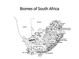 Biomes of SA Moodle.pdf