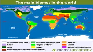 Biomes of the Worlds for undergraduate students | PPTX
