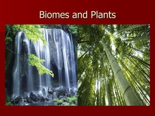 Biomes and Plants 