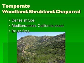 Temperate
Woodland/Shrubland/Chaparral
   Dense shrubs
   Mediterranean, California coast
   Brush fires
 