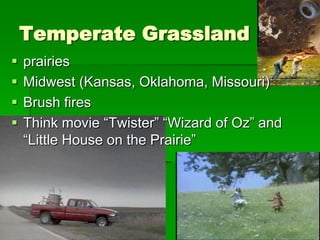Temperate Grassland
   prairies
   Midwest (Kansas, Oklahoma, Missouri)
   Brush fires
   Think movie “Twister” “Wizard of Oz” and
    “Little House on the Prairie”
 