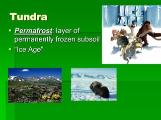 Tundra
 Permafrost: layer of
  permanently frozen subsoil
 “Ice Age”
 