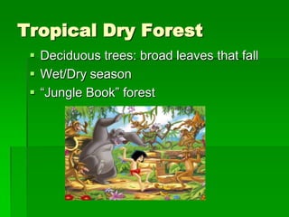Tropical Dry Forest
  Deciduous trees: broad leaves that fall
  Wet/Dry season
  “Jungle Book” forest
 