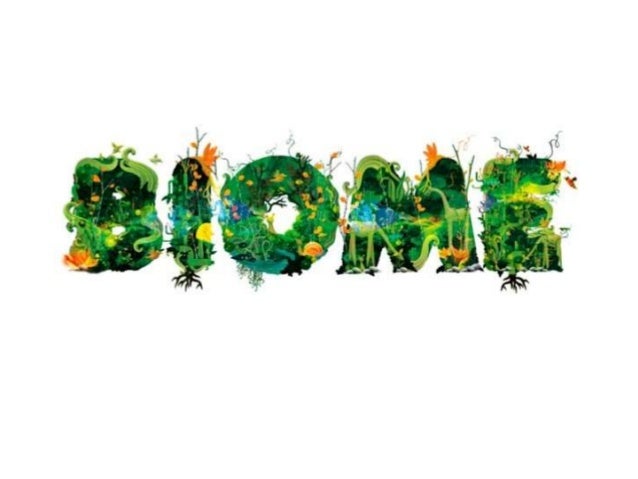 different biomes of the world essay Scientists divide the world into large natural areas called biomes desert and rainforest biomes are two that you've probably heard of each biome is known for . different biomes of the world essay Scientists divide the world into large natural areas called biomes desert and rainforest biomes are two that you've probably heard of each biome is known for .