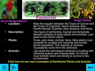 Green Winged Macaw

•

Jungle Python

Location:

Near the equator between the Tropic of Cancer and
the Tropic of Capricorn. South America, Asia,
Pacific Islands, Australia, New Zealand, and Africa
• Description:
Two types of rainforests, tropical and temperate.
Several varieties of exotic plants and animals. Lush
greens and vibrant colors.
• Plants:
Vines, palm trees, orchids, ferns. Most plants must
compete for sunlight and nutrients due to their
dense population. The majority of common
houseplants come from the rainforest.
• Animals:
Life inside the wet tropical rainforest is bustling with
slithering snakes and chirping birds. An animal
must be both smart and strong to survive in this
environment.
Click here to see more examples of Rainforest Plants and Animals
EXIT

 