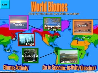 EXIT

Click on the Biome you wish to explore

Tundra

Temperate
Forest

Taiga

Rainforest
Grassland

Desert

 