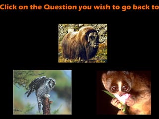 Click on the Question you wish to go back to

 