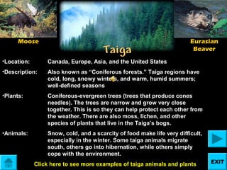 Moose

Eurasian
Beaver

•Location:

Canada, Europe, Asia, and the United States

•Description:

Also known as “Coniferous forests.” Taiga regions have
cold, long, snowy winters, and warm, humid summers;
well-defined seasons

•Plants:

Coniferous-evergreen trees (trees that produce cones
needles). The trees are narrow and grow very close
together. This is so they can help protect each other from
the weather. There are also moss, lichen, and other
species of plants that live in the Taiga’s bogs.

•Animals:

Snow, cold, and a scarcity of food make life very difficult,
especially in the winter. Some taiga animals migrate
south, others go into hibernation, while others simply
cope with the environment.
Click here to see more examples of taiga animals and plants

EXIT

 