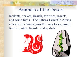 Animals of the Desert
Rodents, snakes, lizards, tortoises, insects,
and some birds. The Sahara Desert in Africa
is home to camels, gazelles, antelopes, small
foxes, snakes, lizards, and gerbils.
 