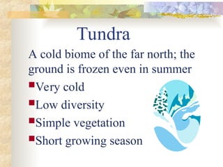 Tundra
A cold biome of the far north; the
ground is frozen even in summer
Very cold
Low diversity
Simple vegetation
Short growing season
 