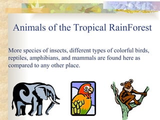 Animals of the Tropical RainForest
More species of insects, different types of colorful birds,
reptiles, amphibians, and mammals are found here as
compared to any other place.
 