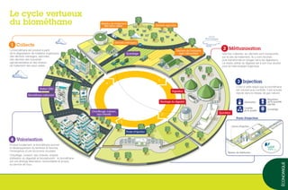 Méthanisation
Une fois collectés, les déchets sont transportés
sur le site de traitement. Ils y sont stockés
puis transformés en biogaz dans les digesteurs.
Lé résidu solide du digestat est à son tour stocké
pour en faire engrais organique.
2
Collecte
Le biométhane est produit à partir
de la dégradation de matières organiques
des déchets ménagers, agricoles,
des déchets des industries
agroalimentaires et des résidus
de traitement des eaux usées.
1
2
1
2
3
4
Le cycle vertueux
du biométhane
économique
Digesteur
Stockage du digestat
Poste d’injection
Déchets agricoles
épandage
Station GNV
Biométhane carburant
Déchets de l’industrie
agro-alimentaire
Valorisation
Produit localement, le biométhane permet
le développement du territoire et favorise
l’émergence d’une économie circulaire.
Chauffage, cuisson, eau chaude, engrais
(utilisation du digestat) et biocarburant : le biométhane
est une énergie alternative, renouvelable et propre,
au service de tous.
4
Injection
C’est à cette étape que le biométhane
est odorisé puis contrôlé. Il est ensuite
injecté dans le réseau de gaz naturel.
3
épurateur
Déchets ménagers
Résidus de traitement
des eaux usées
Chauffauge, cuisson,
eau chaude
Vanne d’injection
Réseau de distribution
Biométhane
Odorisation
Contrôle
de la qualité
Régulation
de la quantité
injectée
Comptage
Poste d’injection
 