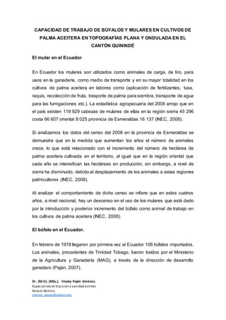 Dr. (M.V); (MSc.). Visoky Paján Jiménez.
Especialista en tracción y sanidad animal.
Asesor técnico.
edetsa_vpajan@yahoo.com
CAPACIDAD DE TRABAJO DE BÚFALOS Y MULARES EN CULTIVOS DE
PALMA ACEITERA EN TOPOGRAFÍAS PLANA Y ONDULADA EN EL
CANTÓN QUININDÉ
El mular en el Ecuador
En Ecuador los mulares son utilizados como animales de carga, de tiro, para
usos en la ganadería, como medio de transporte y en su mayor totalidad en los
cultivos de palma aceitera en labores como (aplicación de fertilizantes, tusa,
raquis, recolección de fruta, trasporte de palma para siembra, transporte de agua
para las fumigaciones etc.). La estadística agropecuaria del 2008 arrojo que en
el país existen 119 929 cabezas de mulares de ellas en la región sierra 45 296
costa 66 607 oriental 8 025 provincia de Esmeraldas 16 137 (INEC, 2008).
Si analizamos los datos del censo del 2008 en la provincia de Esmeraldas se
demuestra que en la medida que aumentan los años el número de animales
crece, lo que está relacionado con el incremento del número de hectárea de
palma aceitera cultivada en el territorio, al igual que en la región oriental que
cada año se intensifican las hectáreas en producción, sin embargo, a nivel de
sierra ha disminuido, debido al desplazamiento de los animales a estas regiones
palmicultores (INEC, 2008).
Al analizar el comportamiento de dicho censo se infiere que en estos cuatros
años, a nivel nacional, hay un descenso en el uso de los mulares que está dado
por la introducción y posterior incremento del búfalo como animal de trabajo en
los cultivos de palma aceitera (INEC, 2008).
El búfalo en el Ecuador.
En febrero de 1978 llegaron por primera vez al Ecuador 106 búfalos importados.
Los animales, procedentes de Trinidad Tobago, fueron traídos por el Ministerio
de la Agricultura y Ganadería (MAG), a través de la dirección de desarrollo
ganadero (Paján, 2007).
 