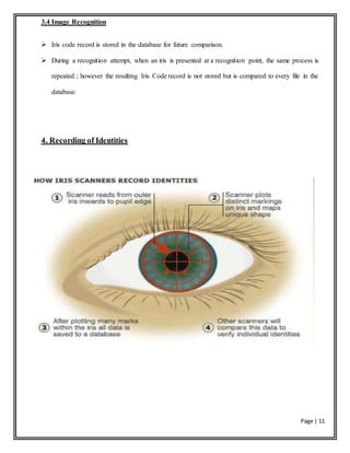 Page | 11
3.4 Image Recognition
 Iris code record is stored in the database for future comparison.
 During a recognition attempt, when an iris is presented at a recognition point, the same process is
repeated ; however the resulting Iris Code record is not stored but is compared to every file in the
database.
4. Recording of Identities
 