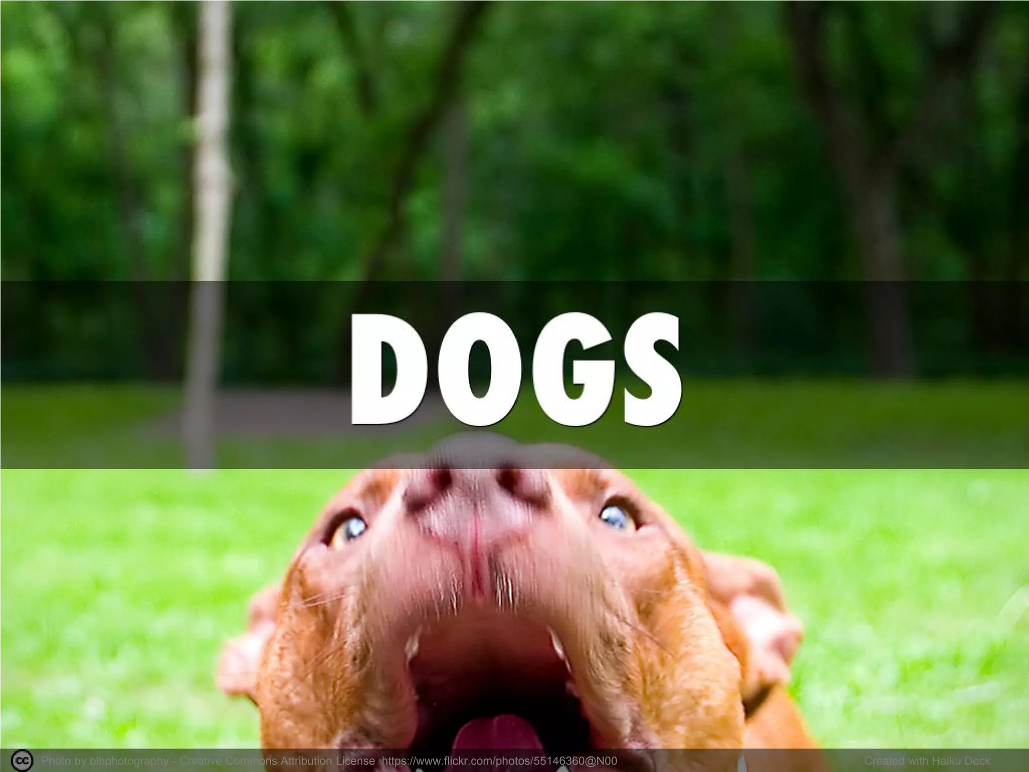 Photo by blhphotography - Creative Commons Attribution License https://www.flickr.com/photos/55146360@N00 
Created with Haiku Deck  