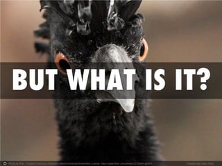 Photo by fPat - Creative Commons Attribution-NonCommercial-ShareAlike License https://www.flickr.com/photos/22729391@N03 
Created with Haiku Deck  